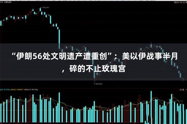 “伊朗56处文明遗产遭重创”：美以伊战事半月，碎的不止玫瑰宫