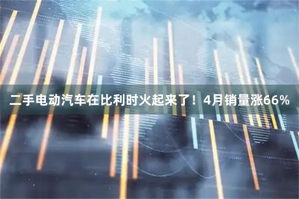 二手电动汽车在比利时火起来了！4月销量涨66%