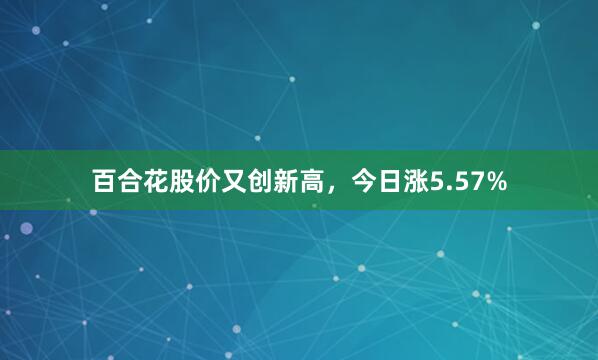百合花股价又创新高，今日涨5.57%