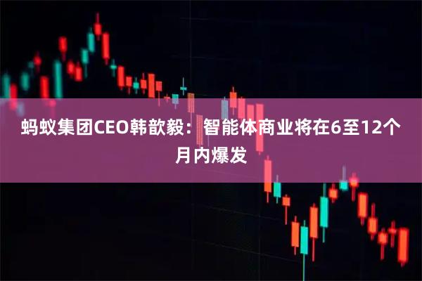 蚂蚁集团CEO韩歆毅：智能体商业将在6至12个月内爆发